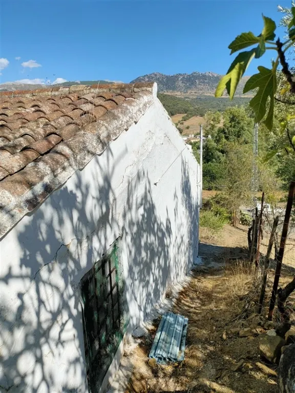 Casa de campo-Masía en Venta en Cortes De La Frontera Málaga - foto 5