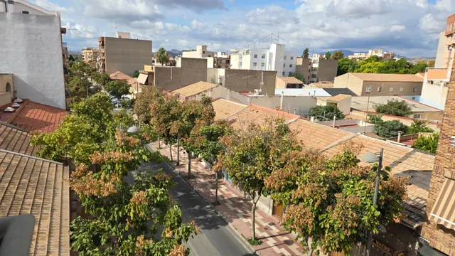 Tu loft en el centro de san vicente del raspeig — 30