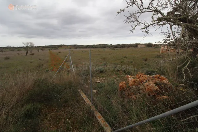 Terrenos Rústicos Edificable en Ses Salines - foto 2