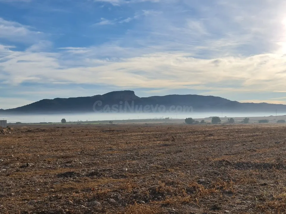 Terreno en venta en Monóvar Comunidad Valenciana