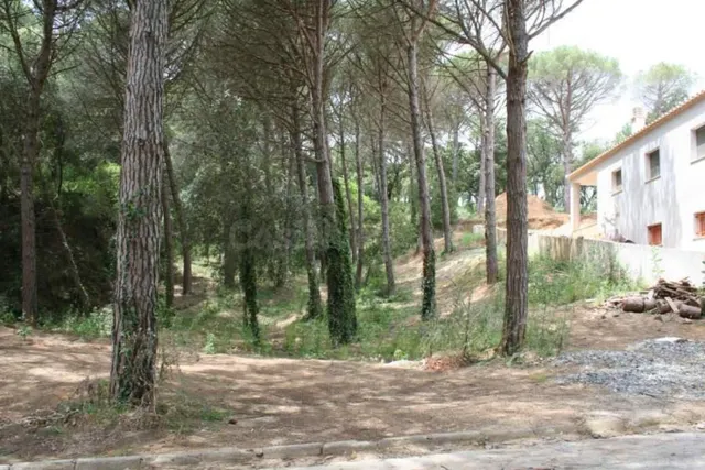 OPORTUNIDAD Parcela edificable en venta en mas Pere Calonge - foto 2