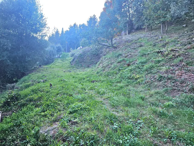 Parque natural del montseny (afueras riells): masía típica catalana catalogada a reformar — 41