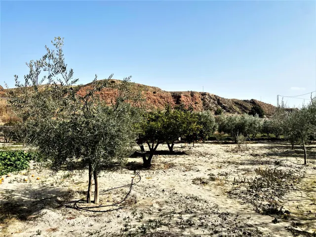 Se vende cortijo a distancia de a pie al pueblo — 39