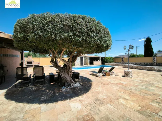 EN LA HUERTA de Cabezo de Torres — 44