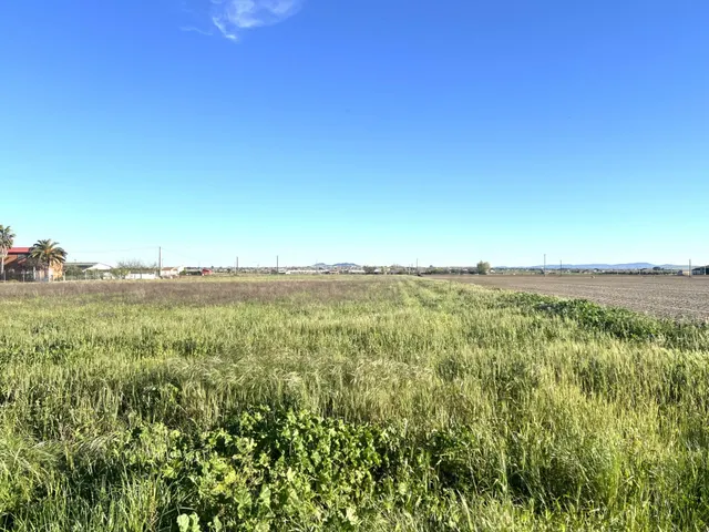 FINCA RUSTICA EN PARAJE LAS CULEBRAS - foto 3