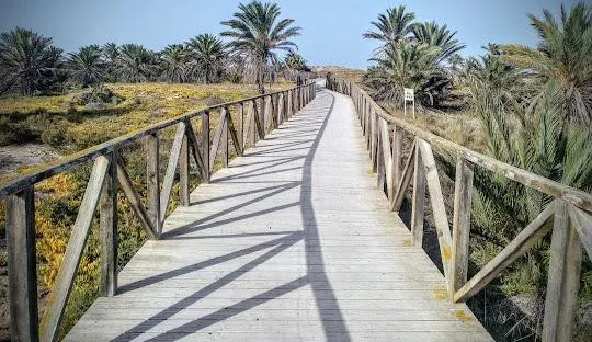 LLAVE EN MANO!! VILLA INDEPENDIENTE DE OBRA NUEVA EN EL PINE - foto 5