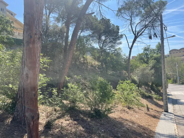 TERRENO JUNTO A CAPELLADES — 5