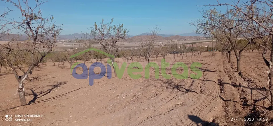 Terreno-parcela en Purias