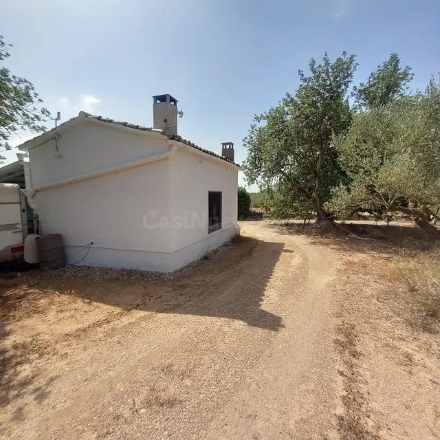 Finca rústica con casa de campo reformada, olivos, algarrobos y caravana, cerca de Tortosa — 9