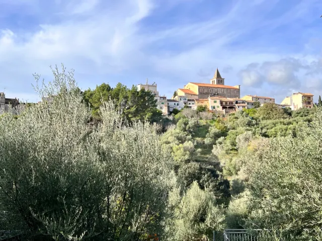 Gran casa en Campanet