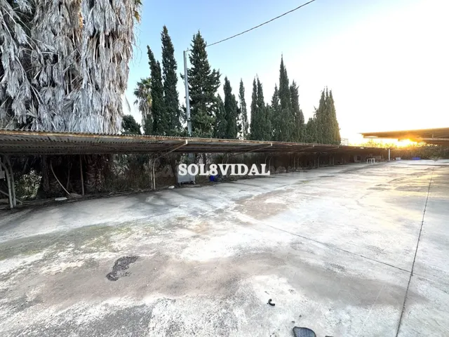 Solar rústico en Orihuela, a solo 2 minutos del centro urban - foto 2