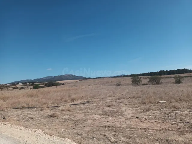 PARCELA EN LA PACA - foto 5