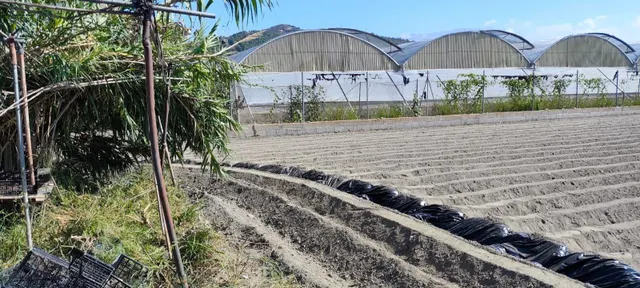 Parcela rústica en venta, llana y vallada, a solo 4,3 km de la playa de Granada — 7