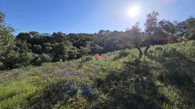 CHALET EN VENTA EN EL PUERTO CALATRAVEÑO — 24