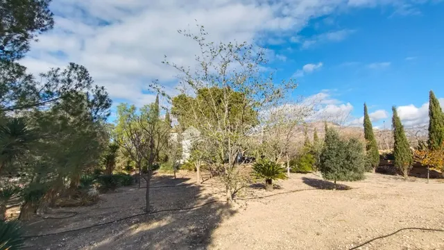 VENTA DE CHALET DE LUJO EN MONFORTE DEL CID — 42