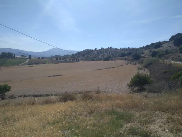 !!EN VENTA TERRENOS NO URBANIZABLES DE GRAN EXTENSIÓN!! — 3