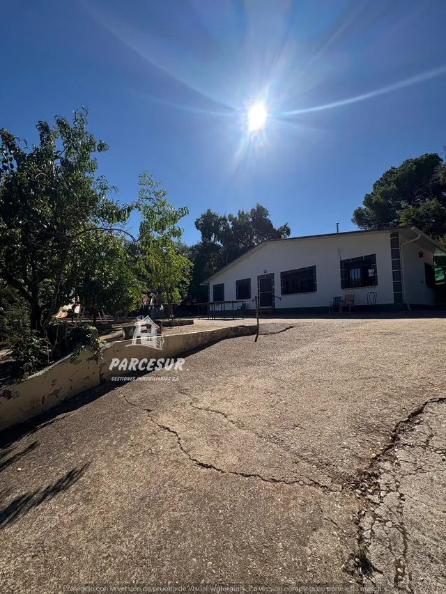 Casa de campo con gran parcela y frutales en Las Siete Fincas. — 33