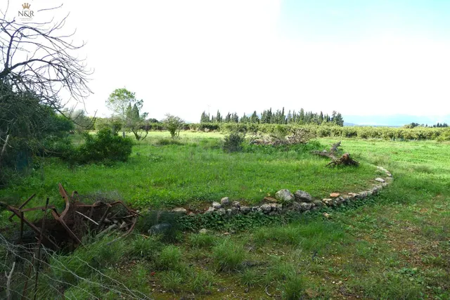 FINCA RÚSTICA CON LUZ ELÉCTRICA Y AGUA EN LLUBÍ - foto 2
