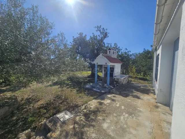 FINCA RUSTICA CERCA DE LA RAPITA ! - foto 2