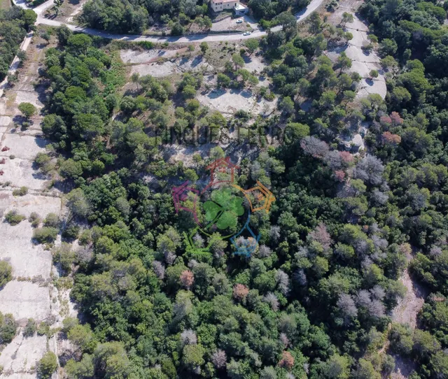 13 parcelas únicas a partir de 1088m2, desde 70.000€ - foto 3