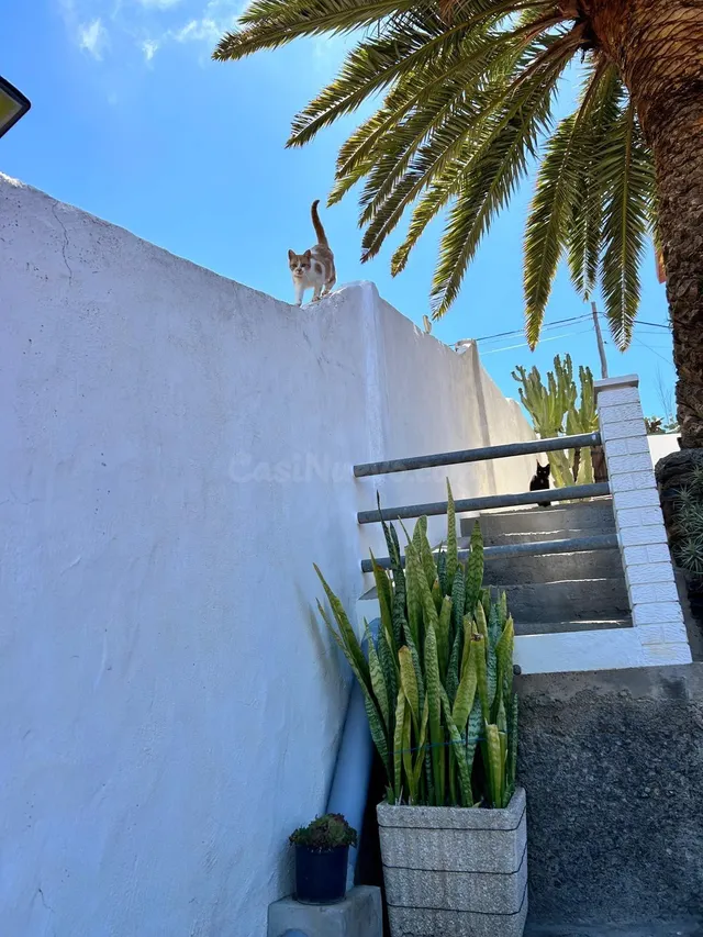 Canarias Paradise Real Estate - Casa independiente con vista