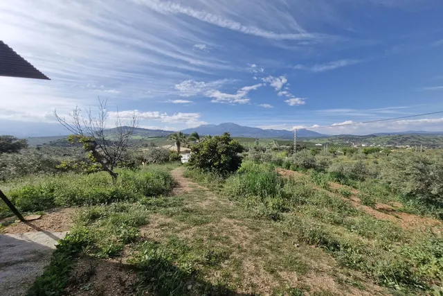 Finca rústica 3 habitaciones 162m² en venta - South of spain — 25