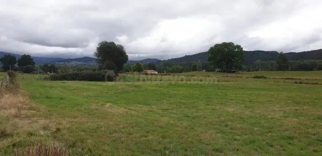 Terreno rural en venta - Mazcuerras