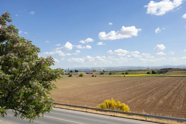 ¡OPORTUNIDAD ÚNICA! Edificio Multifuncional de 900 m2 en Plena Vega Granadina, en primera línea de carretera. — 33