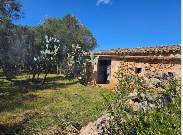 Finca rústica de 14.878 m2 en Costitx con posibilidad de pro