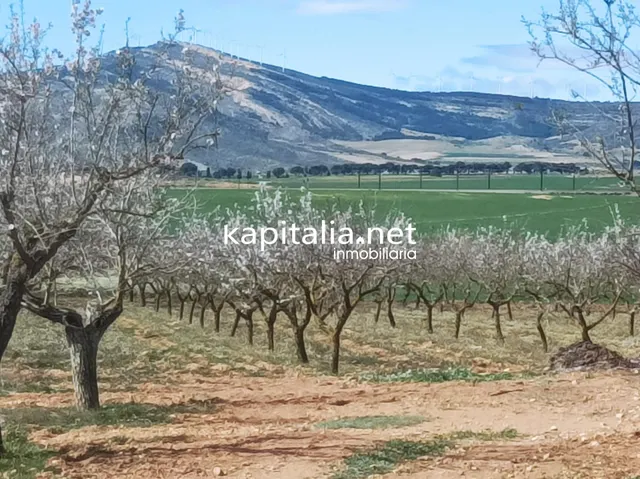 FINCA RUSTICA A LA VENTA — 3
