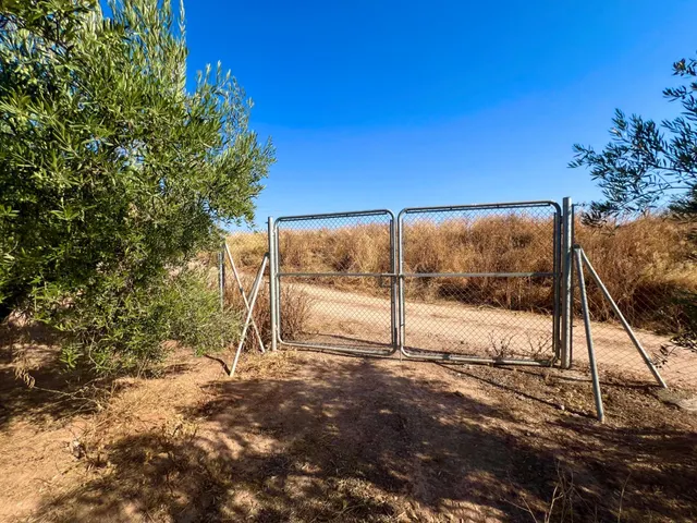 ALBOLOTE - PANTANO CUBILLAS — 22