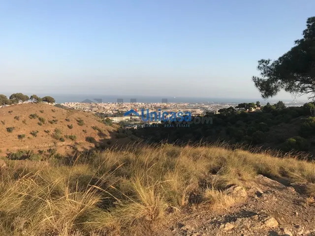 Terreno rústico de 3.000 metros en Zona entre Los Morales y  - foto 5