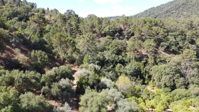 Casa de campo-Masía en Venta en Benastepal Málaga - foto 4