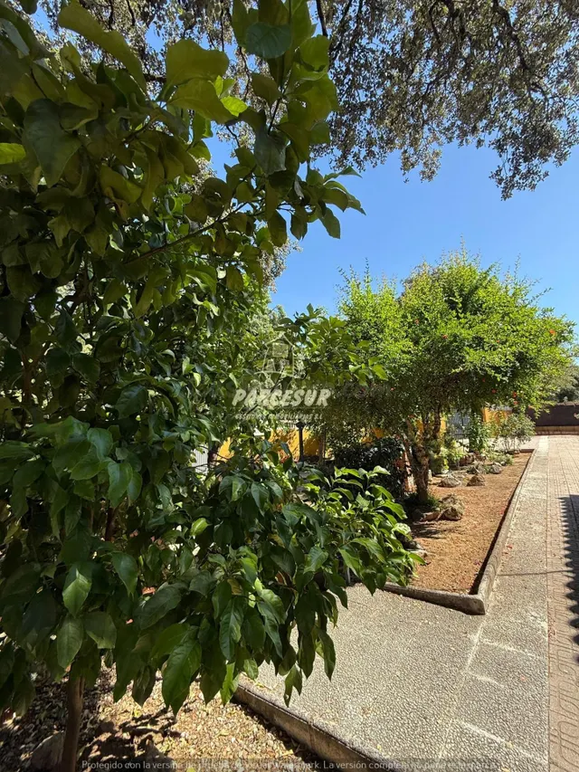 Encantadora Casa de Campo en Trassierra - Las Jaras, Córdoba - foto 5