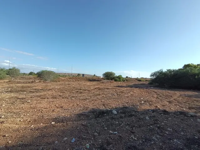 Parcela de 7.677 m2 fachada a carretera via parque Alicante - Elche — 14