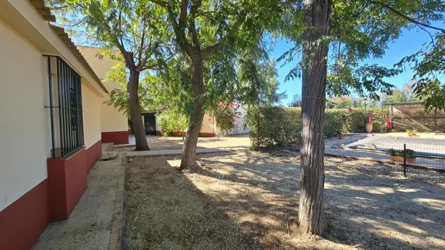 Magnífica casa de campo con piscina y vistas a Moguer, en finca de casi 15.000 m2 — 29