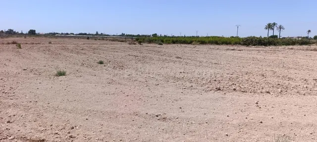 Terreno urbanizable en Elche pedanias zona Perleta - foto 4