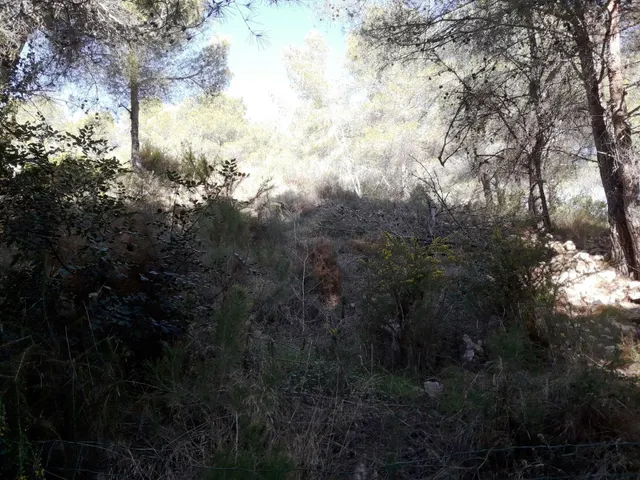 PARCELA DE 947 m2 EN COSTA CUNIT - TARRAGONA — 11