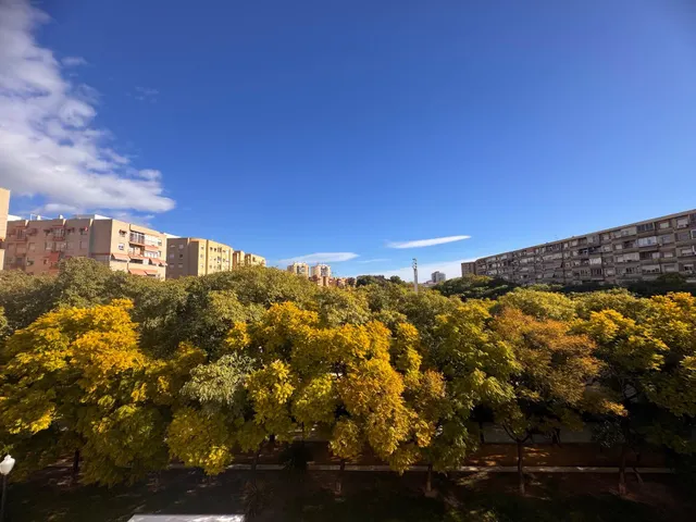 VIVIENDA DE ALQUILER PLAZA LA VIÑA !!!! — 17