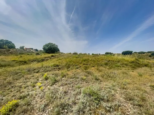 Terreno en venta en calle Carahorma G 587, Lillo — 11