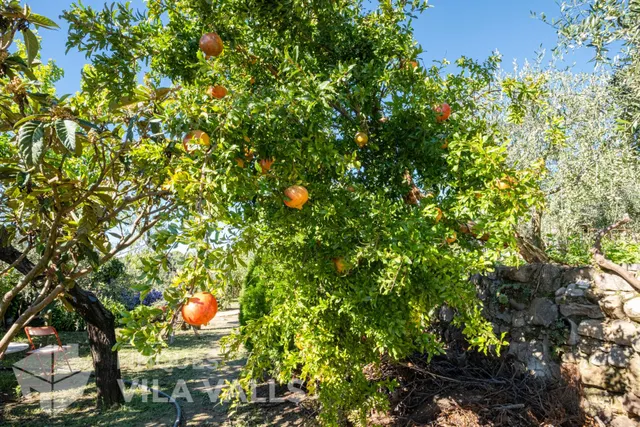 Granja amb posibilitat dues vivendes — 37