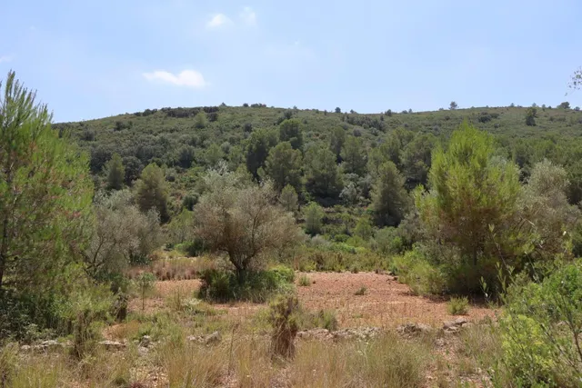 MASIA RUSTICA EN DOS HECTAREAS DE TERRENO ZONA POU DE BECA — 30