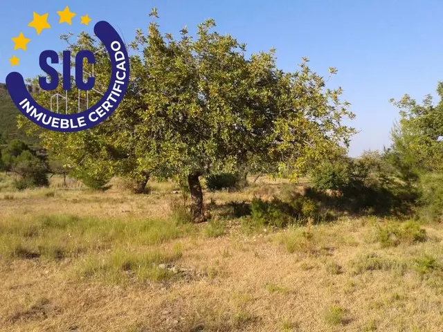 SE VENDE PARCELA EN FUENTE DE INCOLLA CHIVA - foto 5