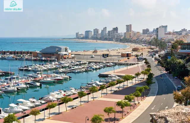 APARTAMENTO REFORMADO JUNTO AL MAR EN EL CAMPELLO, IDEAL PARA DESCANSO Y TELETRABAJO — 33