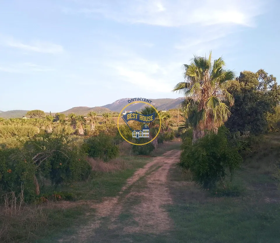 TERRENO CON POSIBILIDAD DE CONSTRUIR DOS CASITAS DE CAMPO MUY CERCA TÉRMINO AGULLENT