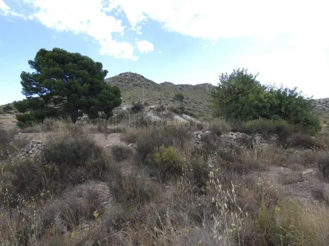Terreno rural zona los colegiales — 4