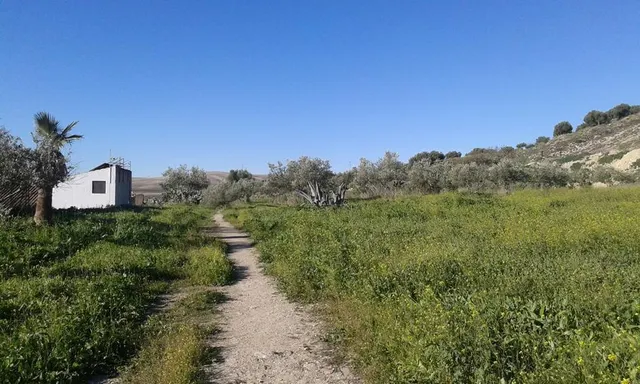 SUELO URBANIZABLE EN VENTA EN ESPERA (CÁDIZ) — 2