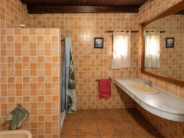 VENTA DE EXCEPCIONAL FINCA RÚSTICA CON GRAN PARCELA Y EDIFICACIONES EN ESTEPONA — 11