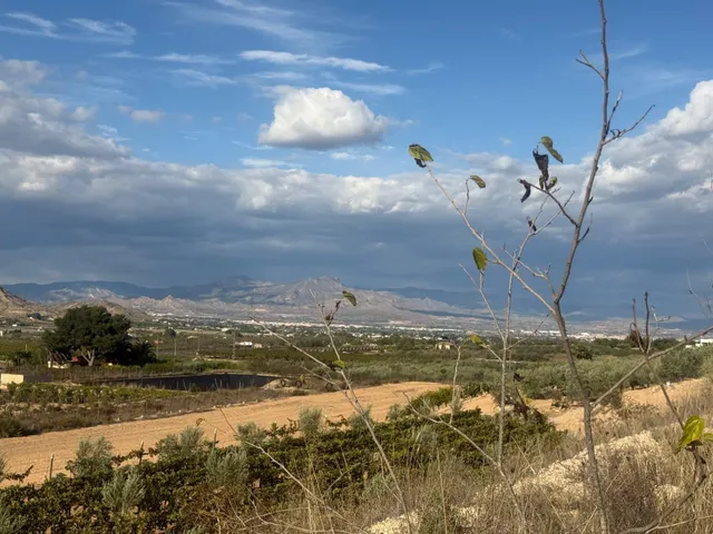 Terreno rústico en venta en tolomó – Aspe (Alicante) — 14