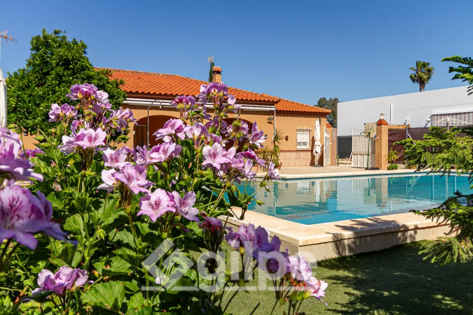 Chalet en venta en Marchena.